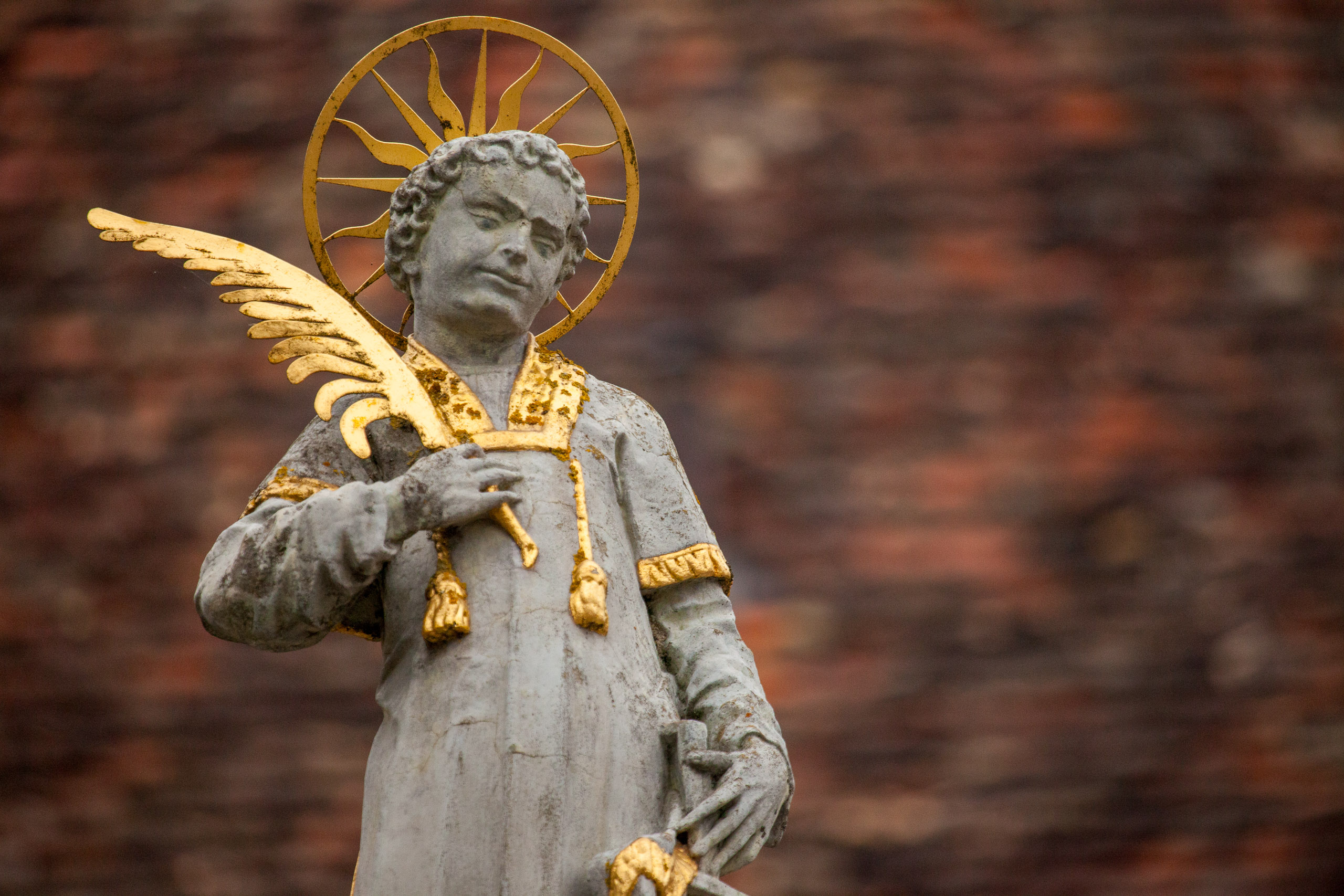 20110313162032 IMG 7375